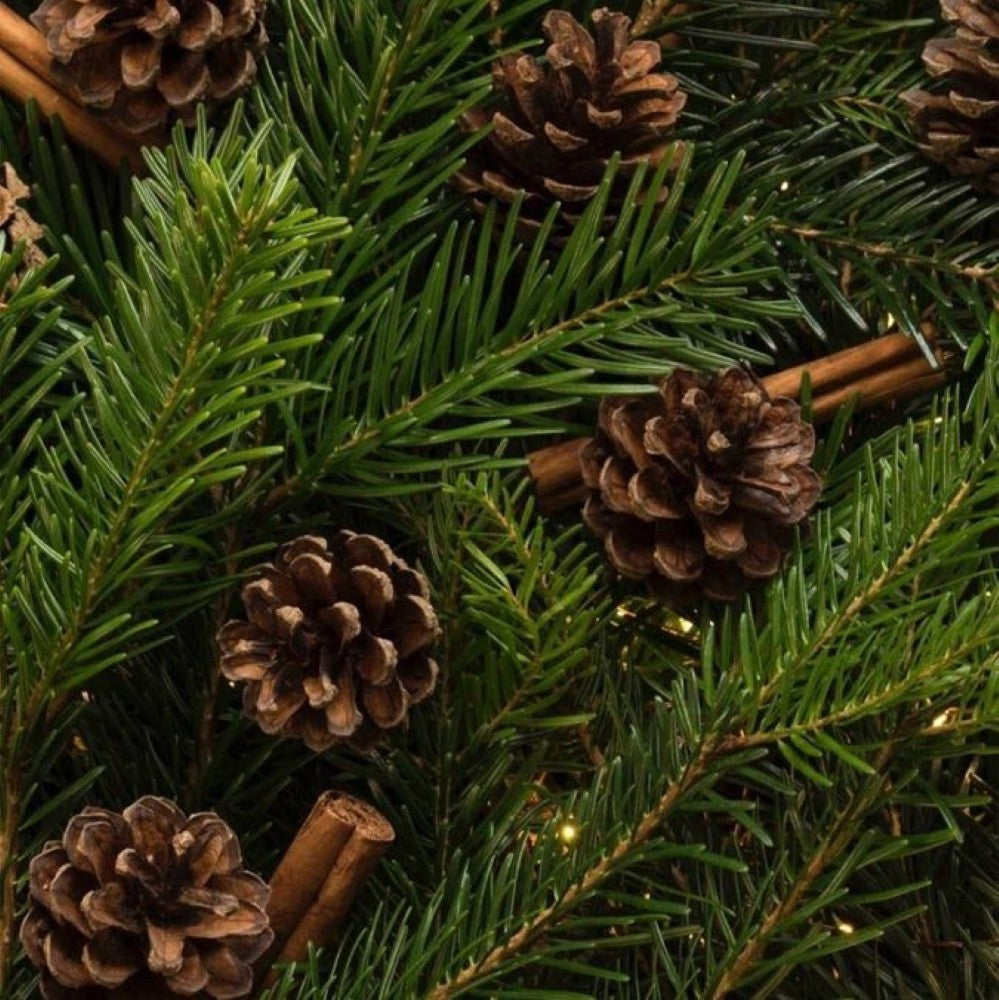 Fragancia Bosque Navideño